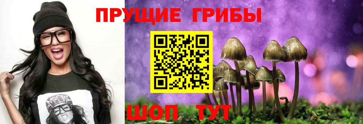 Павловский Посад  Галлюциногенные грибы ЛСД  Вход с VPN 